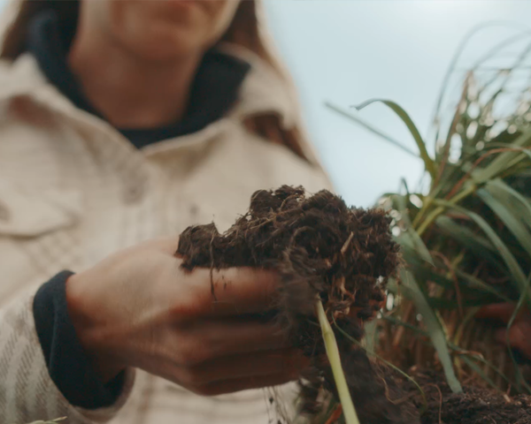 SOIL HEALTH