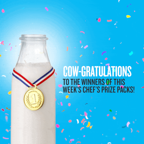 Cow-Gratulations