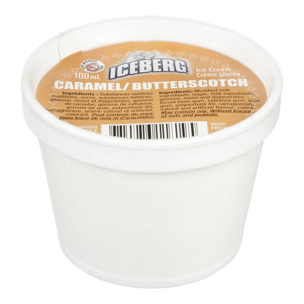 Iceberg Butterscotch Ripple Ice Cream 24x100ml