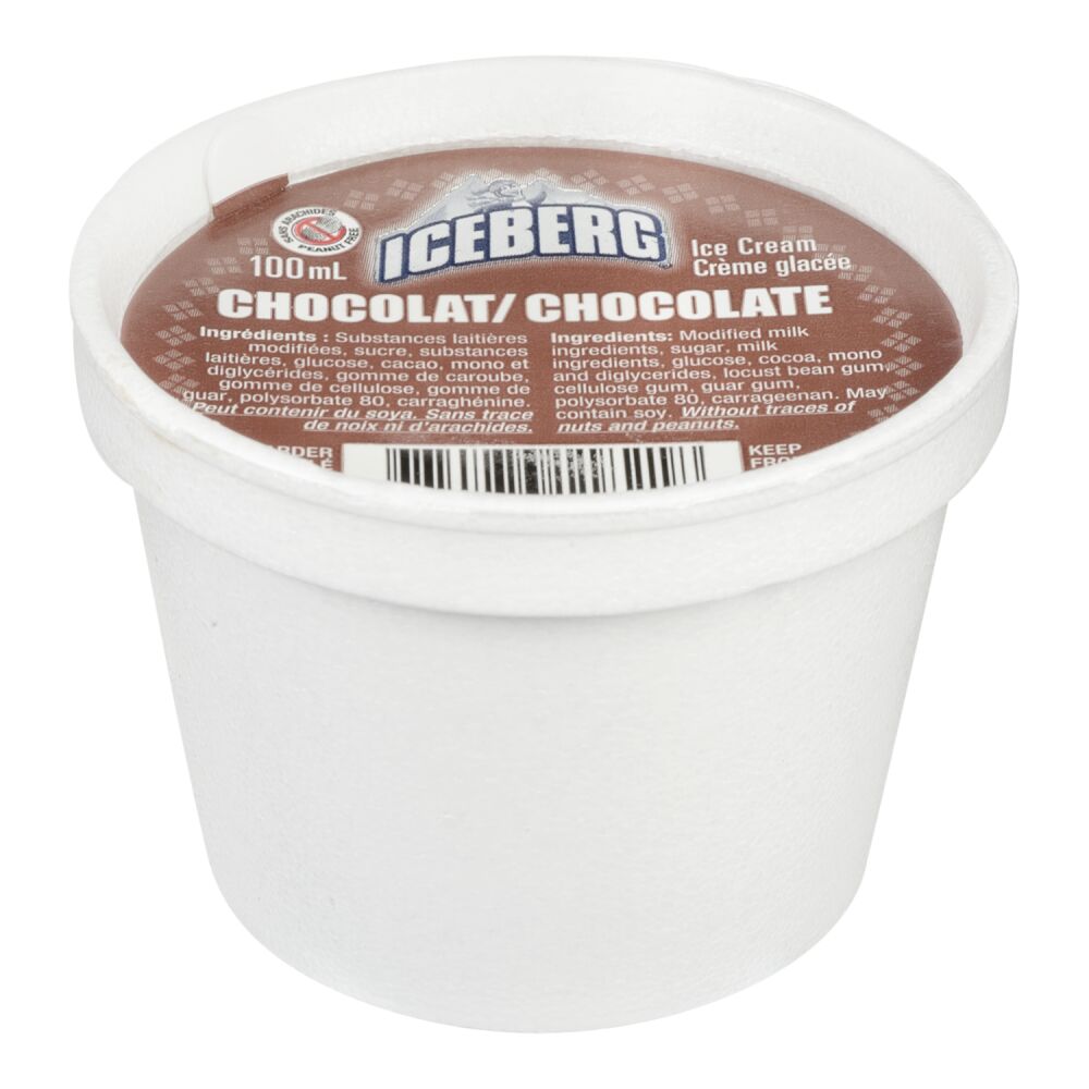 Iceberg Chocolate Ice Cream 24x100ml