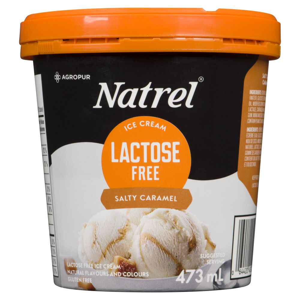 Natrel Lactose Free Salty Caramel Ice Cream 473ml