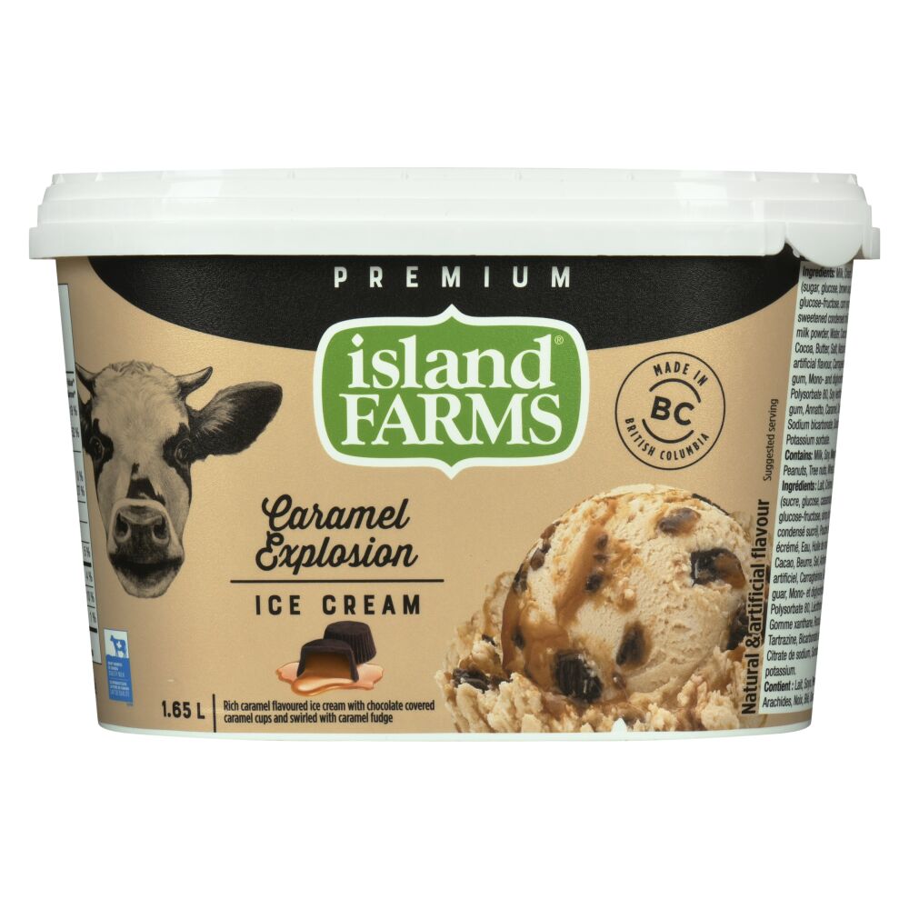 Island Farms Country Cream Caramel Explosion Premium Ice Cream 1.65L