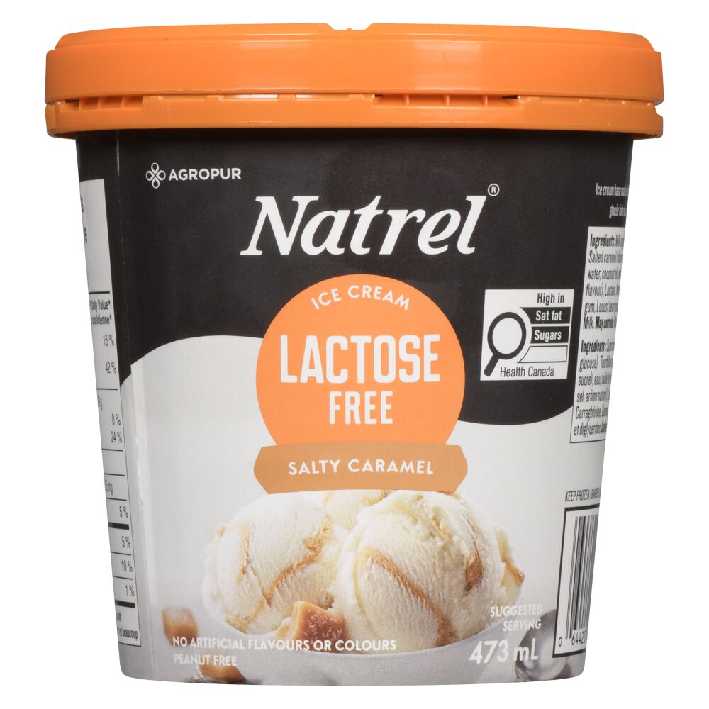 Natrel Lactose Free Salty Caramel Ice Cream 473ml