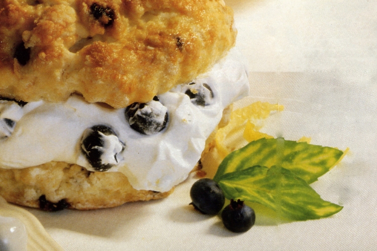 Double Blueberry Shortcakes | Canadian Goodness