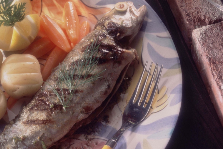 Grilled Trout with Lime and Fennel Canadian Goodness