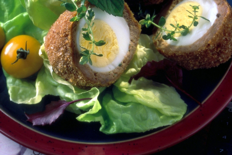Meat Coated Eggs with Fennel and Garlic Sauce Canadian Goodness