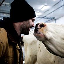 A dairy farmer cares for his cow