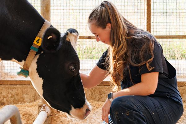 DFC Globe and Mail Hero
