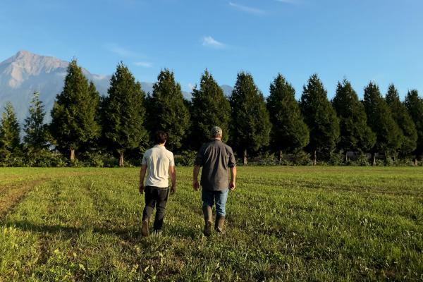 PARTNERS IN SUSTAINABILITY