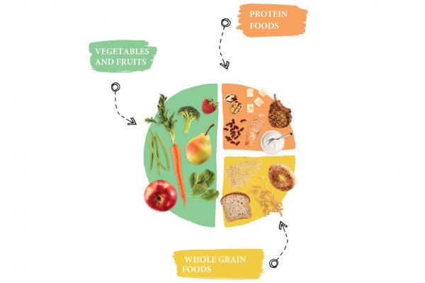 The balanced plate from Canada’s Food Guide: Cycle 1