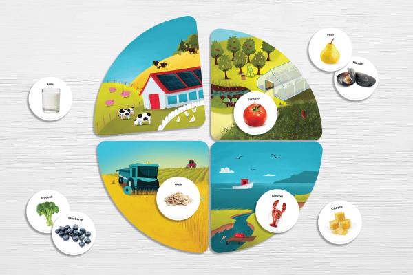 Food matching game made with durable game pieces made with sturdy and cleanable plastic.
