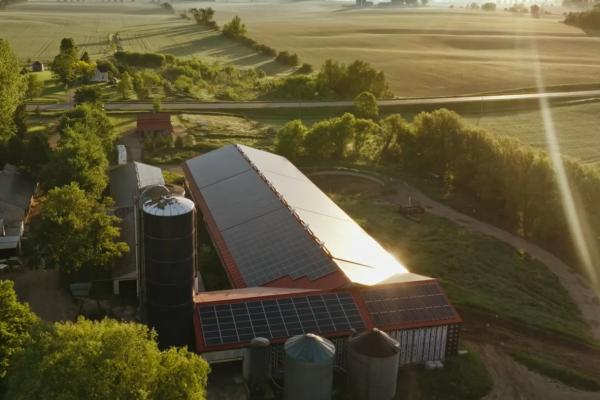 A dairy farm with solar panels