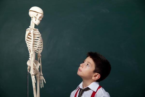 boy gazing at skeleton