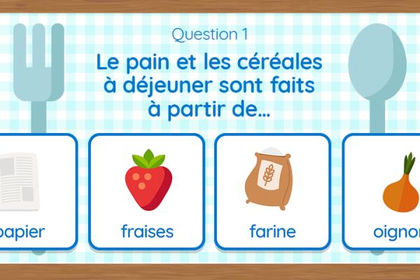 Jeu-questionnaire 1er cycle