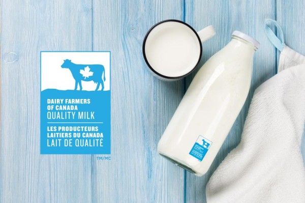 Blue cow logo