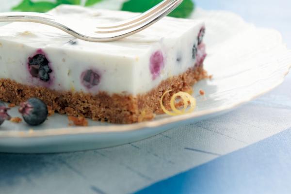 the best blueberry vanilla no bake cheesecake