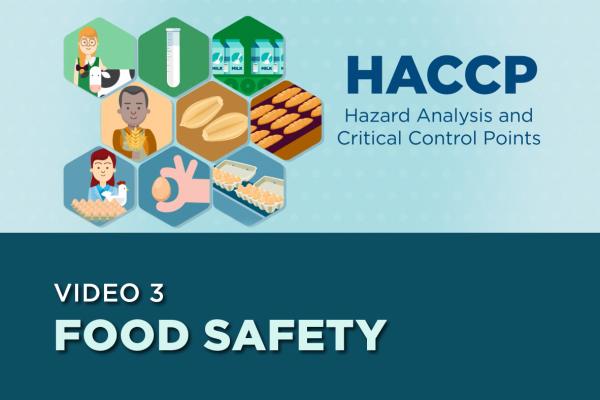 Colourful image with graphics of milk, eggs, wheat, bread, a farmer, a veterinarian, and a researcher. The image says, “HACCP Hazard Control Analysis and Critical Control Points” and “Video 3 Food Safety”. 