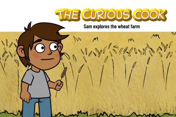 A child holding a stalk of wheat standing in front of a wheat field.