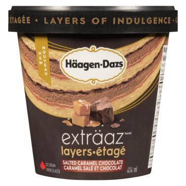 Häagen-Dazs Chocolate Salted Caramel Ice Cream 414ml