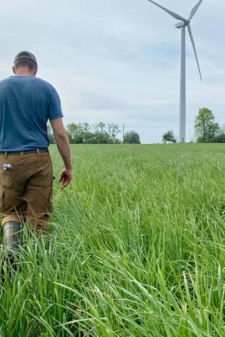 A Canadian dairy farmer in fields with a wind turbine