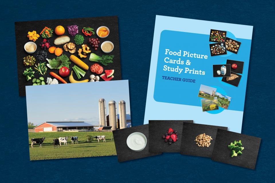 Image showing components of Food Picture Card resource kit including food picture cards, study prints, and teacher guide.