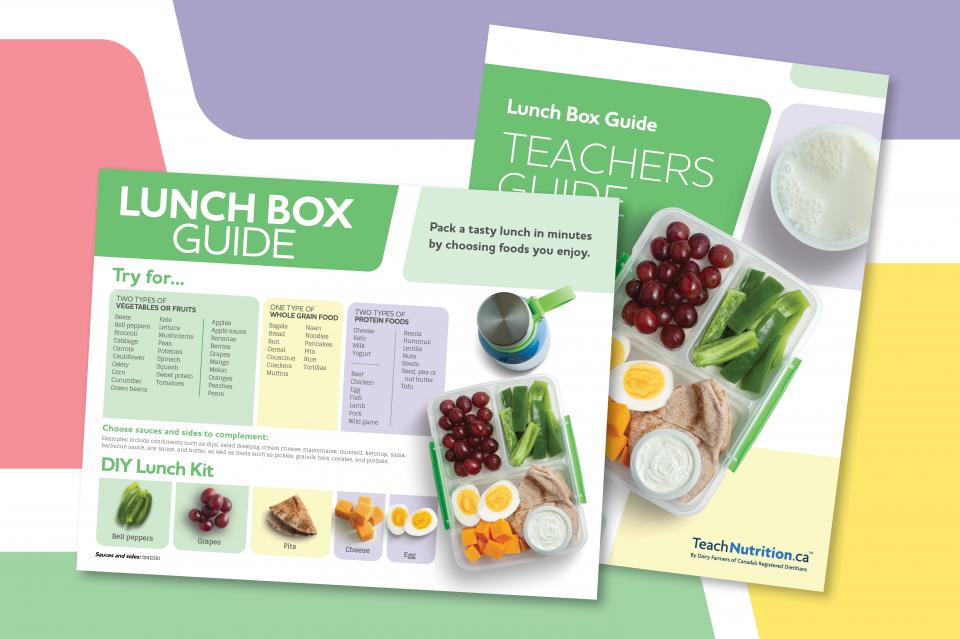 Image of the first page of the Lunch Box Guide and the Teachers Guide