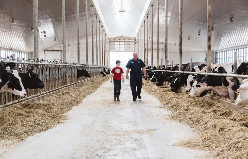 The barn at a Canadian dairy farm