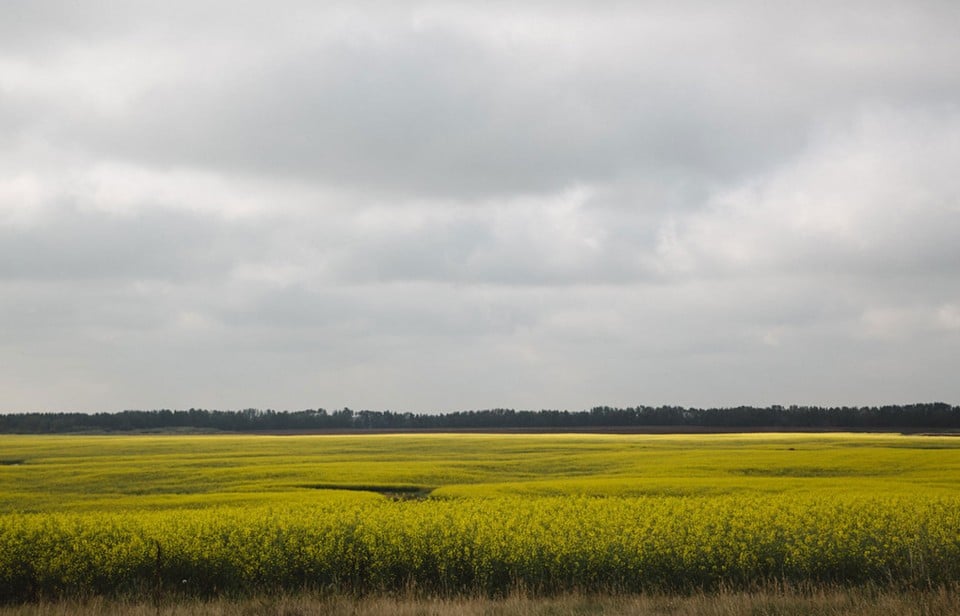 A Canadian field