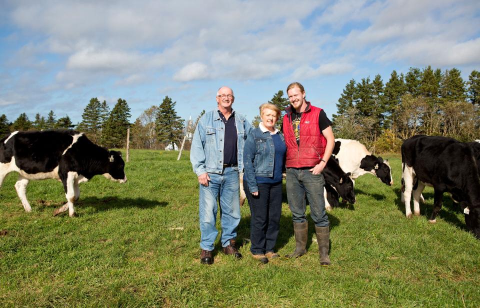 A family of Canadian dairy farmers with dairy cows in a pasture