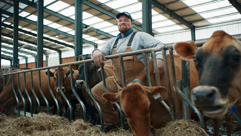 Proud dairy farmer smiles beside feeding cows, highlighting the farmer-livestock bond