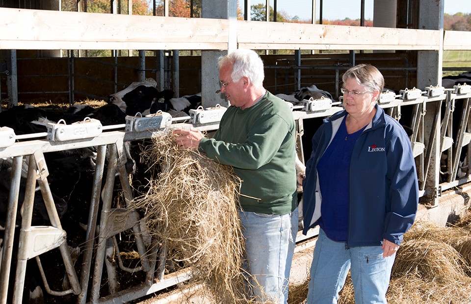 Farmers Caring for their animals