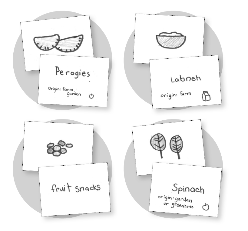 Four hand drawn Food Picture Cards showing perogies, labneh, fruit snacks, and spinach.