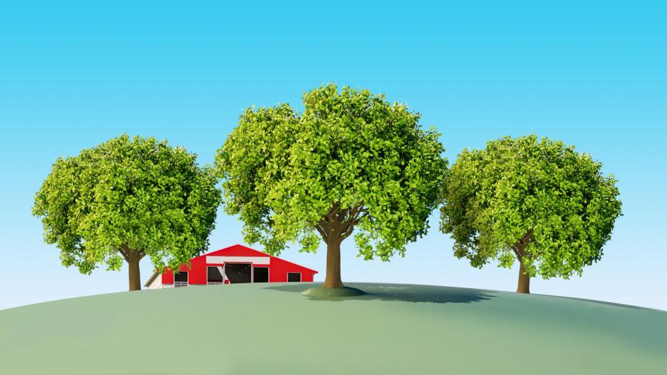 Three leafy green oak trees sit in front of a 3D animated red barn in a field on a bright sunny day. 