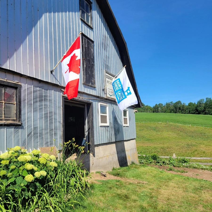 Dairy Farmers of Canada Flag on barn