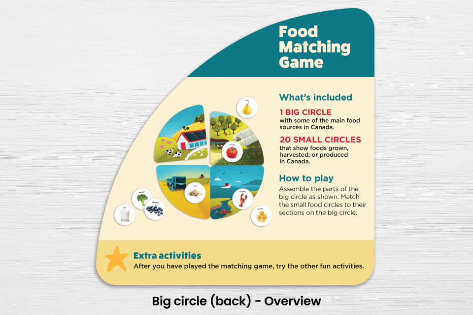 Back of big circle from the Food matching game, showing overview.