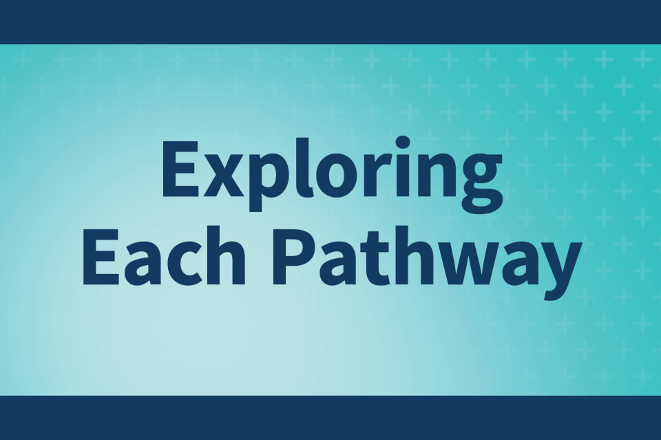 Exploring Each Pathway