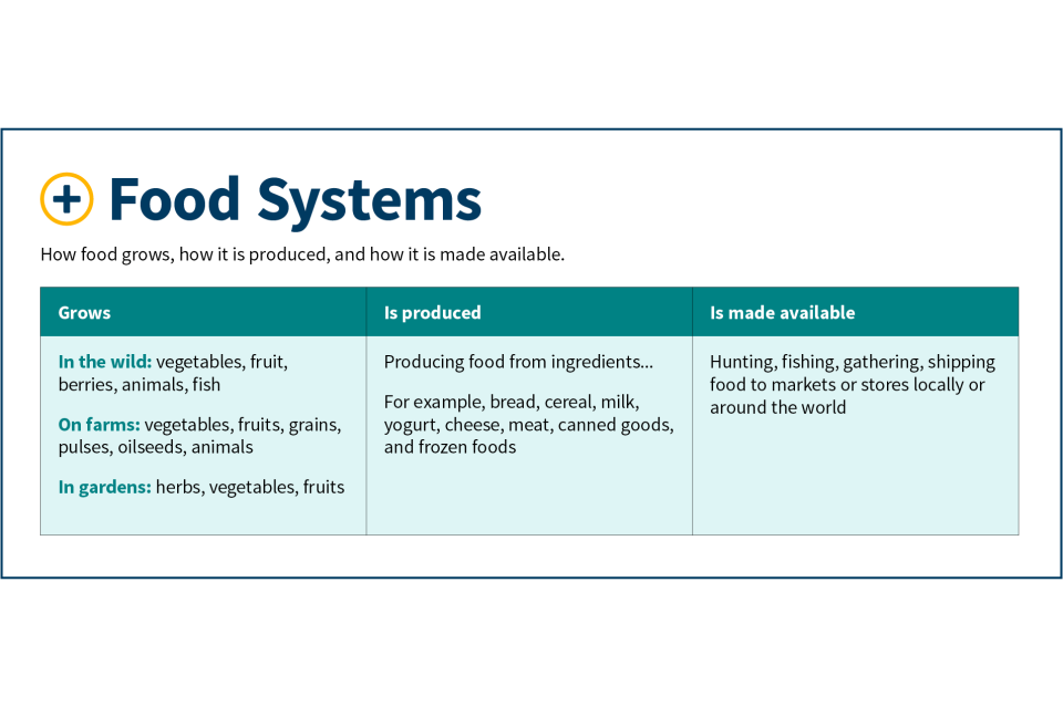 chart of the Food Systems