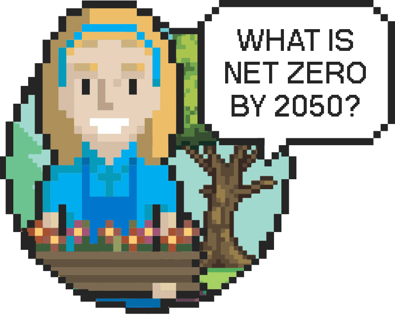 what is net zero by 2050