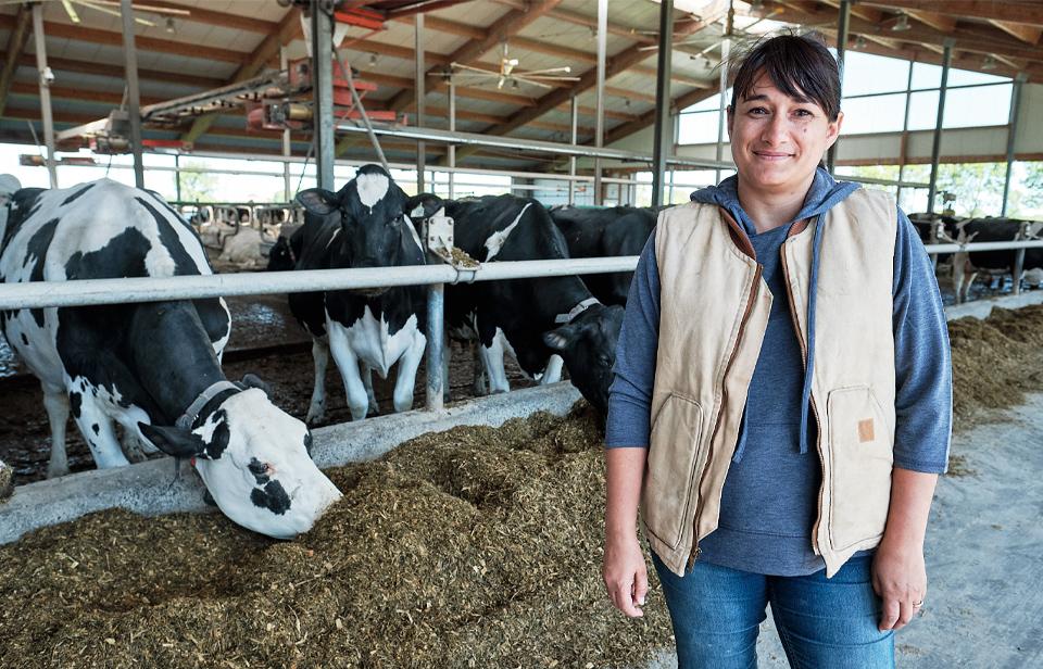 Canadian dairy farmer in the barn with her cows