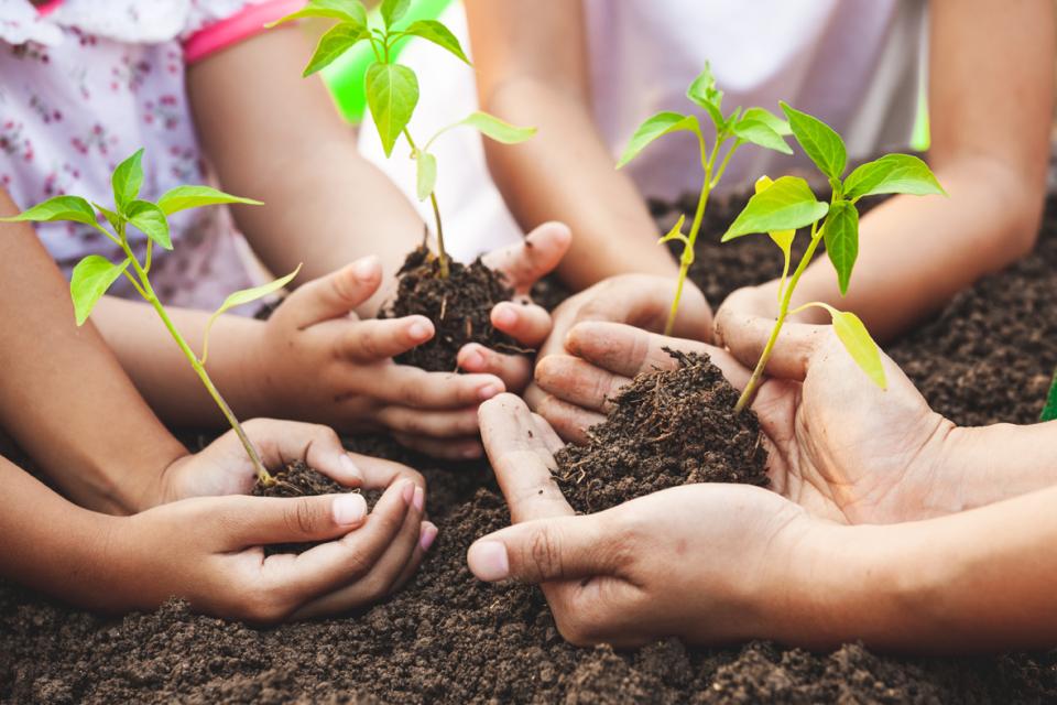 children holding seedlings and soil in their hands