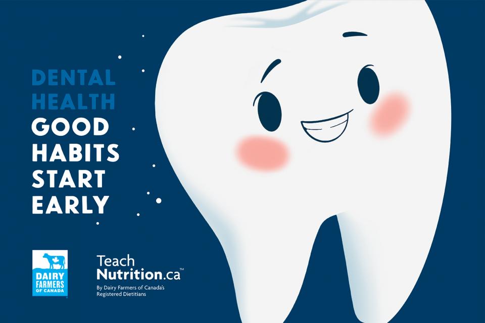 Cover of the brochure Dental Health – Good Habits Starts Early. A free, educational and engaging brochure will help you establish a good oral hygiene routine with your child. 