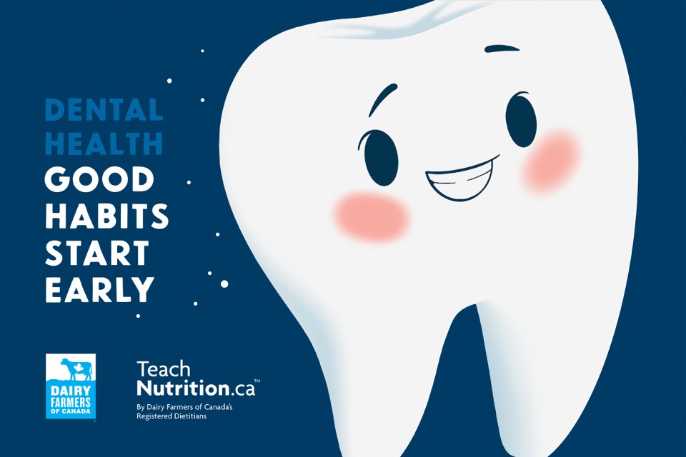 Cover of the brochure Dental Health – Good Habits Starts Early. A free, educational and engaging brochure will help you establish a good oral hygiene routine with your child.