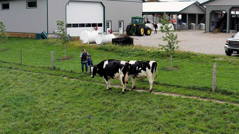 Manitoba dairy farm works with nature — Ducks Unlimited Canada