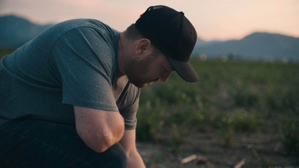 Matt in one of his fields