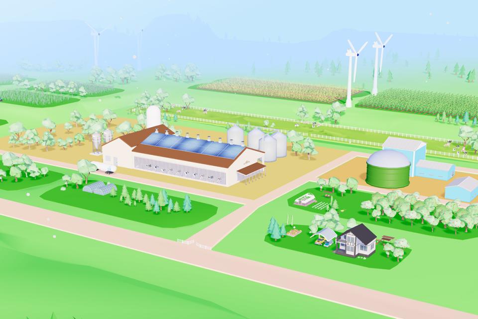 Canadian Dairy Farm Discovery