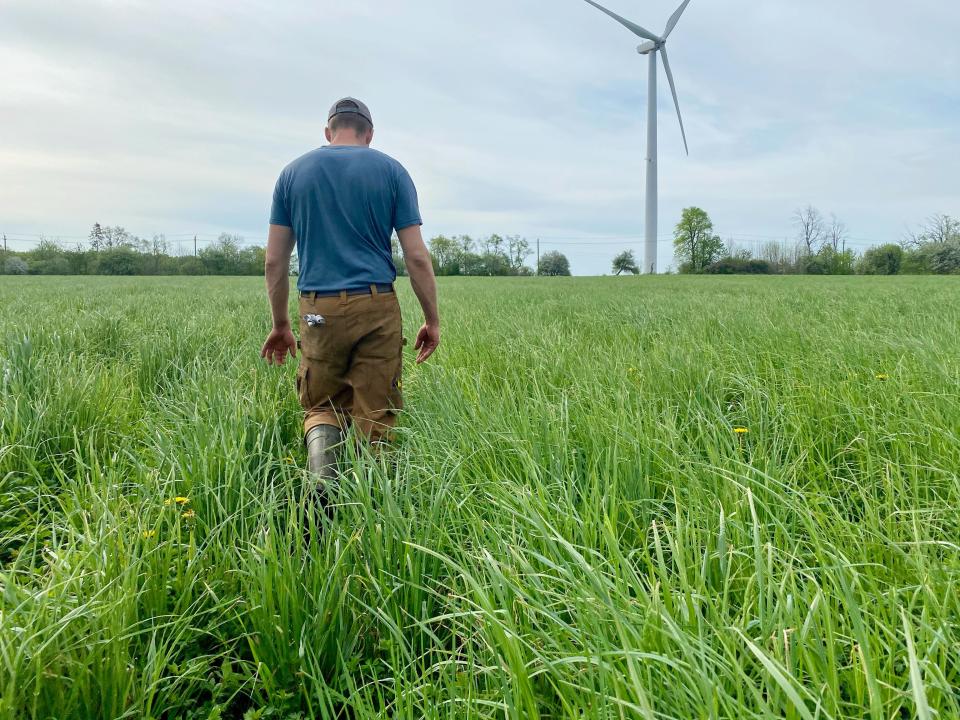 A farmer walks in a field with a wind turbine