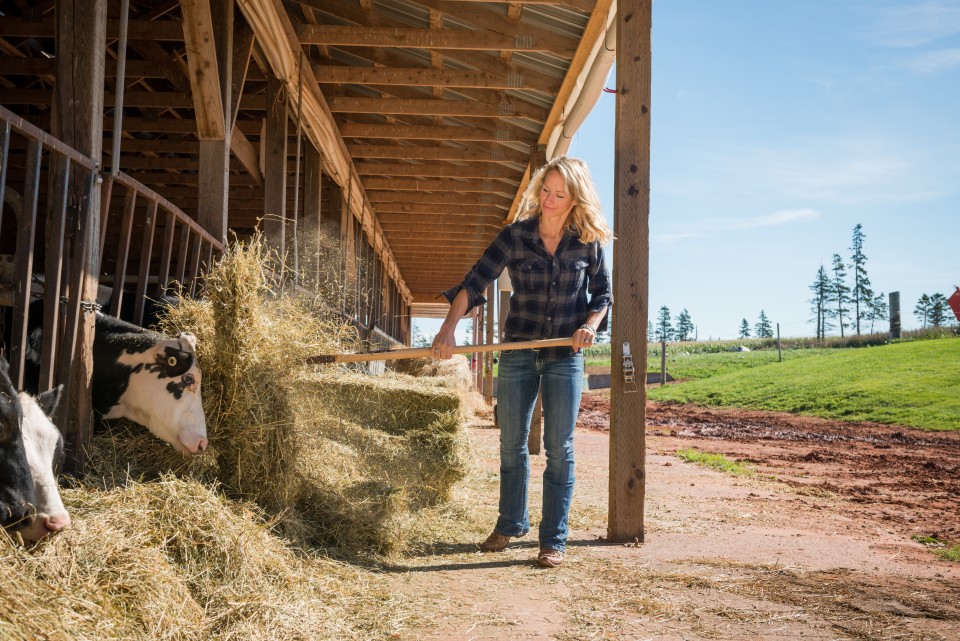 A dairy farmer from PEI