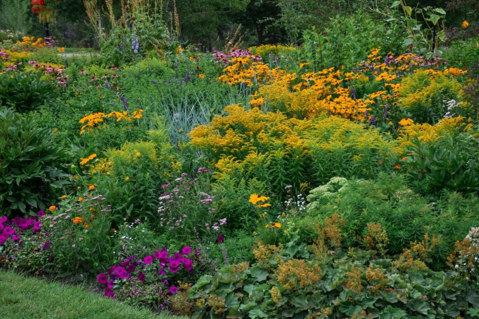 A garden with many perennials