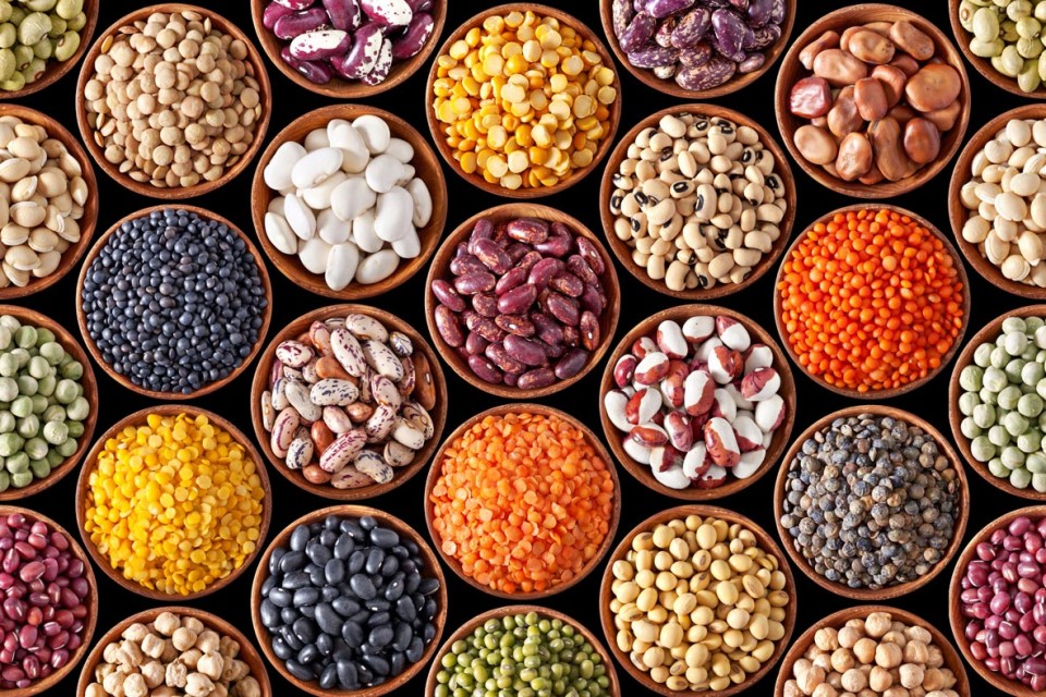 Variety of legumes