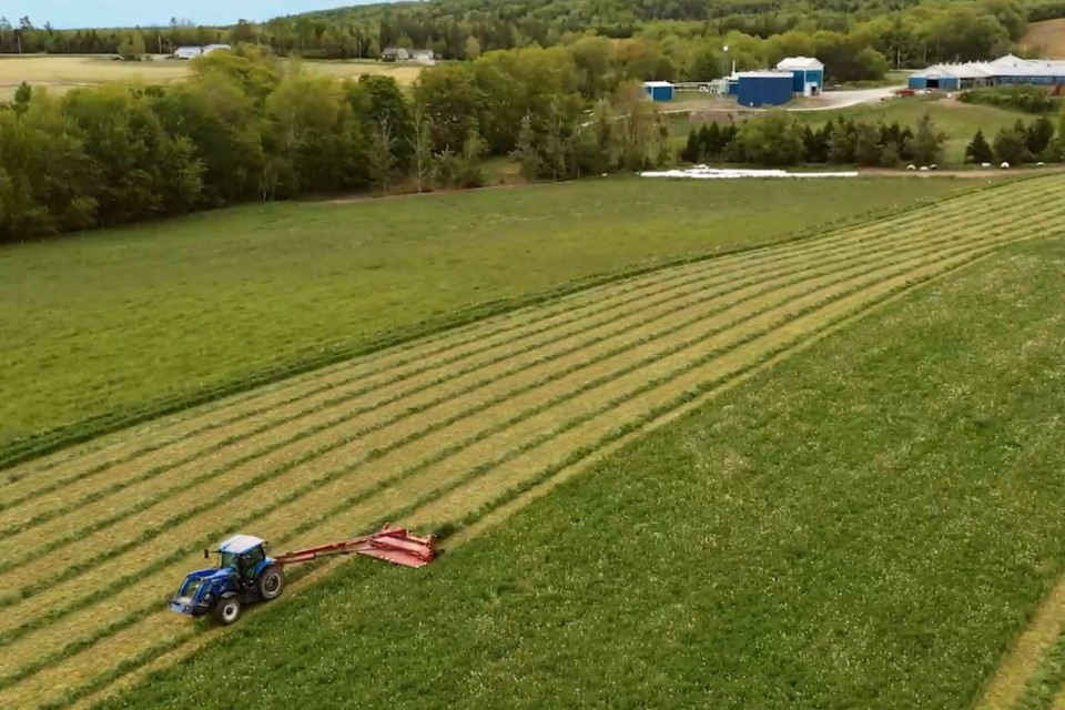 Tracker in field